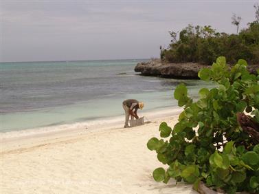 2010 Cuba, Holguin, Hotel Rio de Oro, Royal, DSC00604_b_B740
